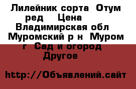 Лилейник сорта “Отум ред“ › Цена ­ 50 - Владимирская обл., Муромский р-н, Муром г. Сад и огород » Другое   